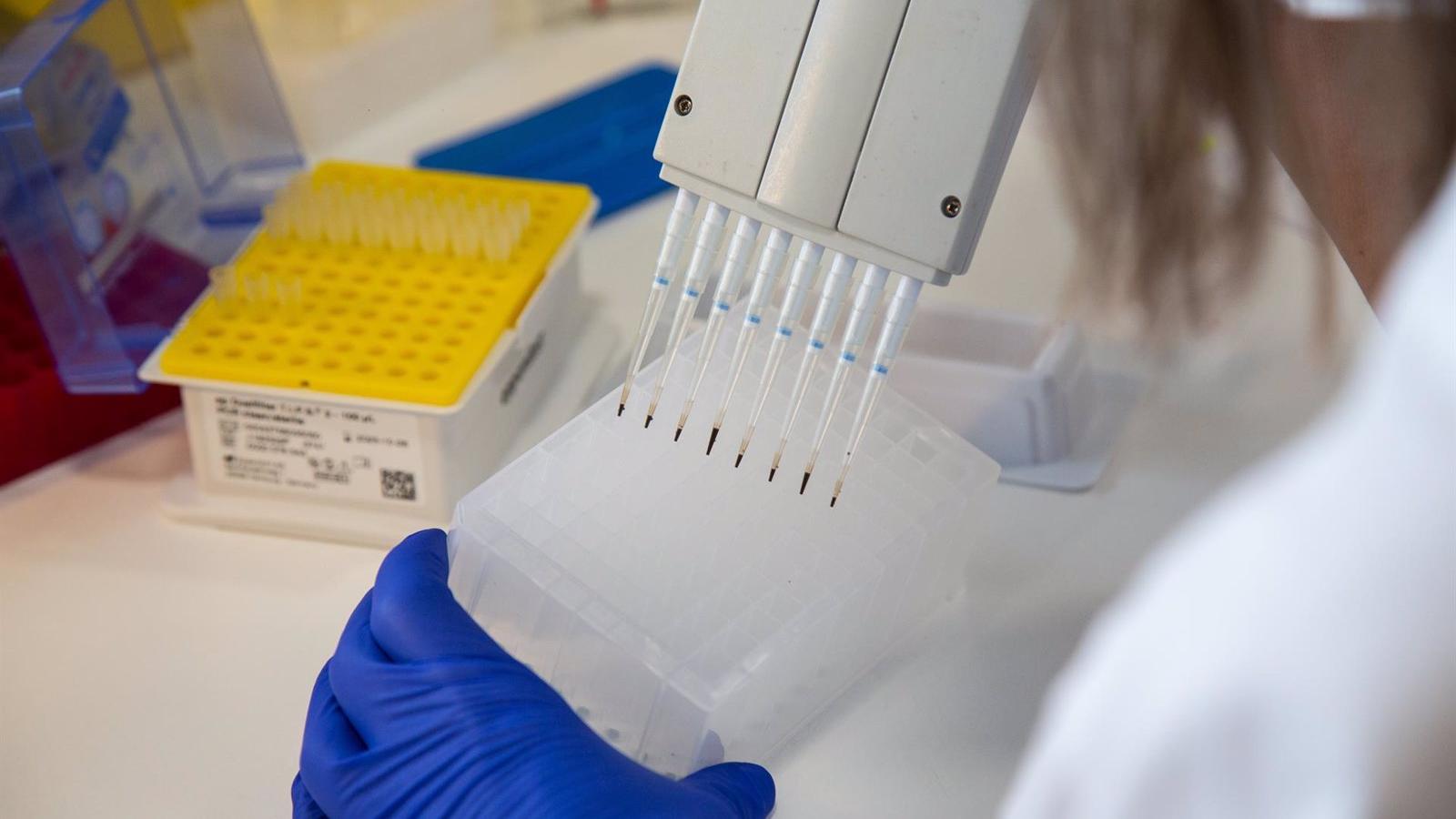 El Gobierno aprobará el viernes la nueva Ley de la Ciencia, que busca "reducir la precariedad" de investigadores