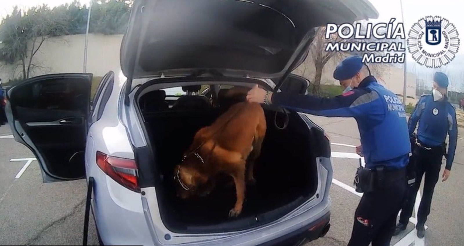 Detenida una pareja que escondía en su coche 14 bolsas monodosis de cocaína