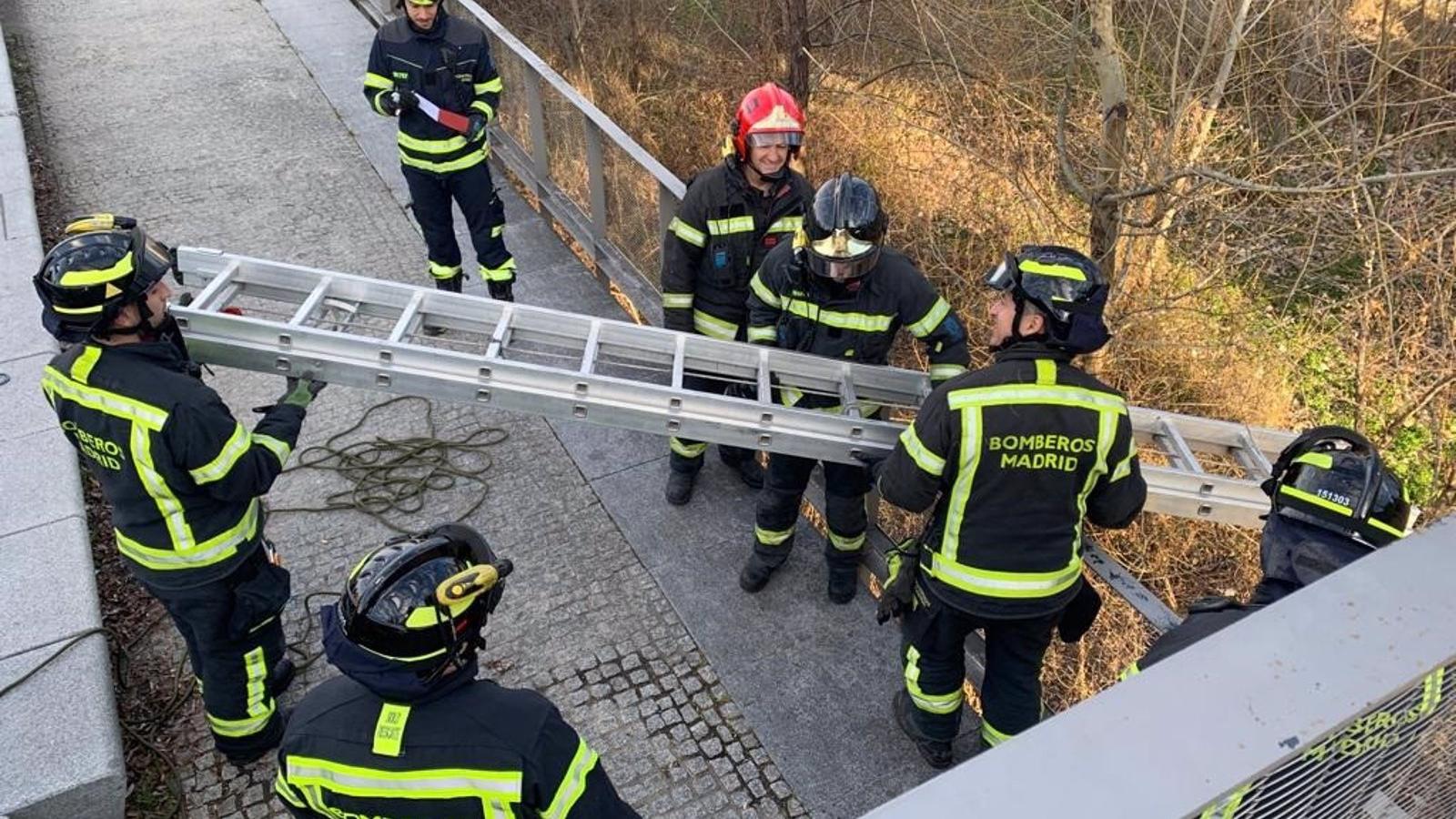 El hombre cuyo cadáver apareció el sábado en el Manzanares se suicidó, según las investigaciones