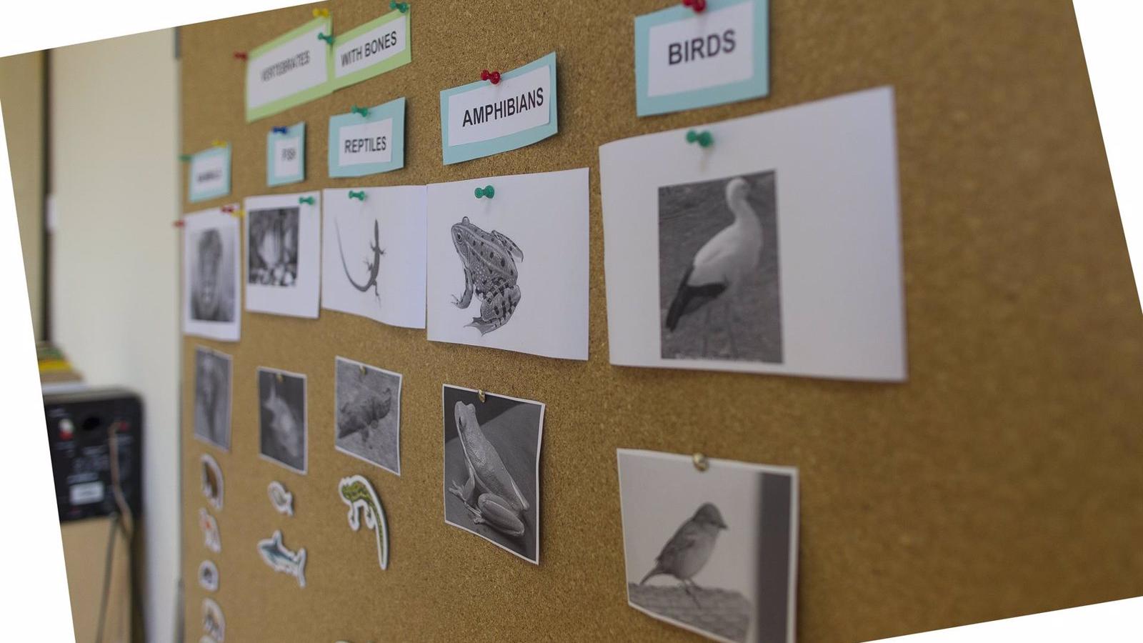 La Comisión de Educación del Congreso visita centros bilingües con modalidad de lengua de signos en la Comunidad