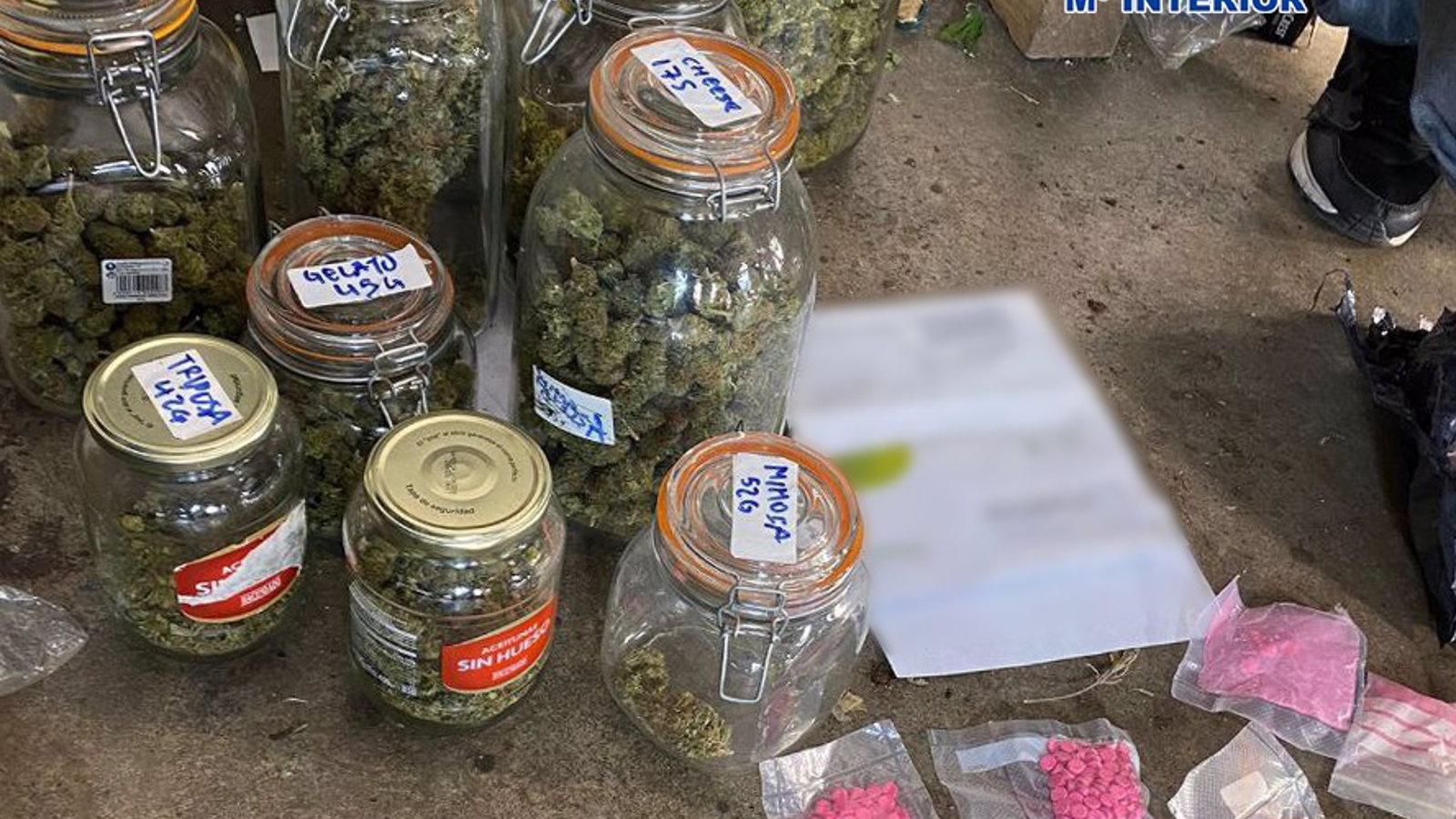 Desmantelada una plantación 'indoor' de marihuana en una nave industrial de Alcobendas