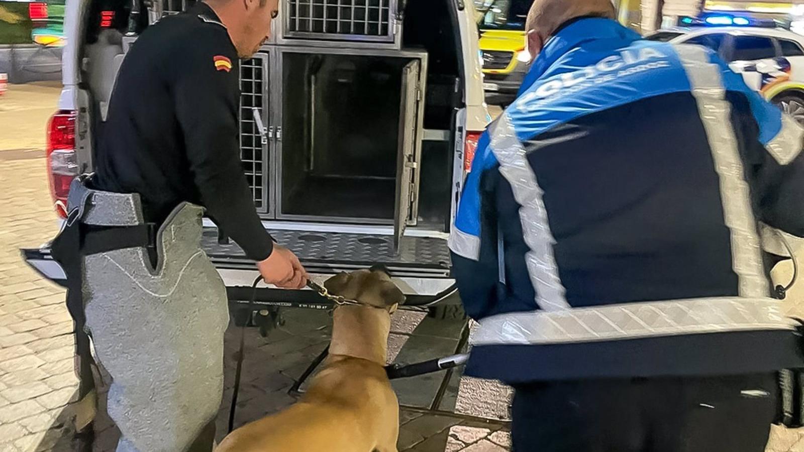 Un perro ataca a sus dueños en una casa de Torrejón y los niños se esconden hasta la llegada de la Policía