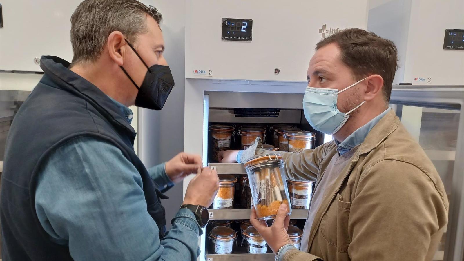 La Comunidad crea un banco de semillas forestales para preservar ejemplares en riesgo de extinción