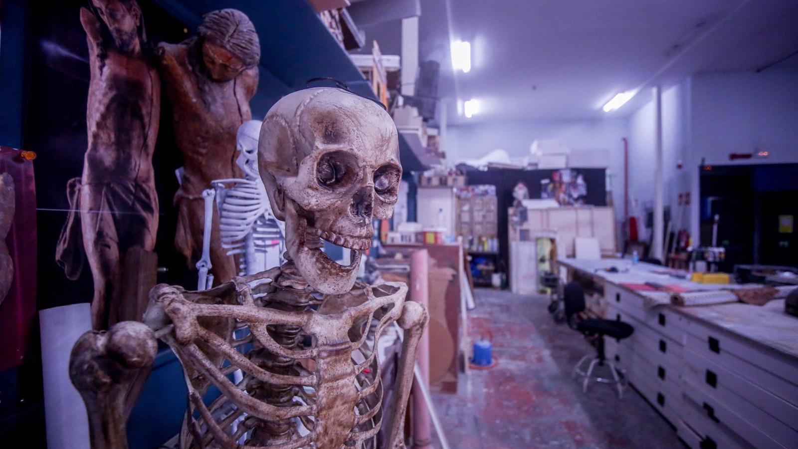 Caracterización, Carpintería y Anatomía Patológica, entre los grados de FP con mayor inserción laboral en la región