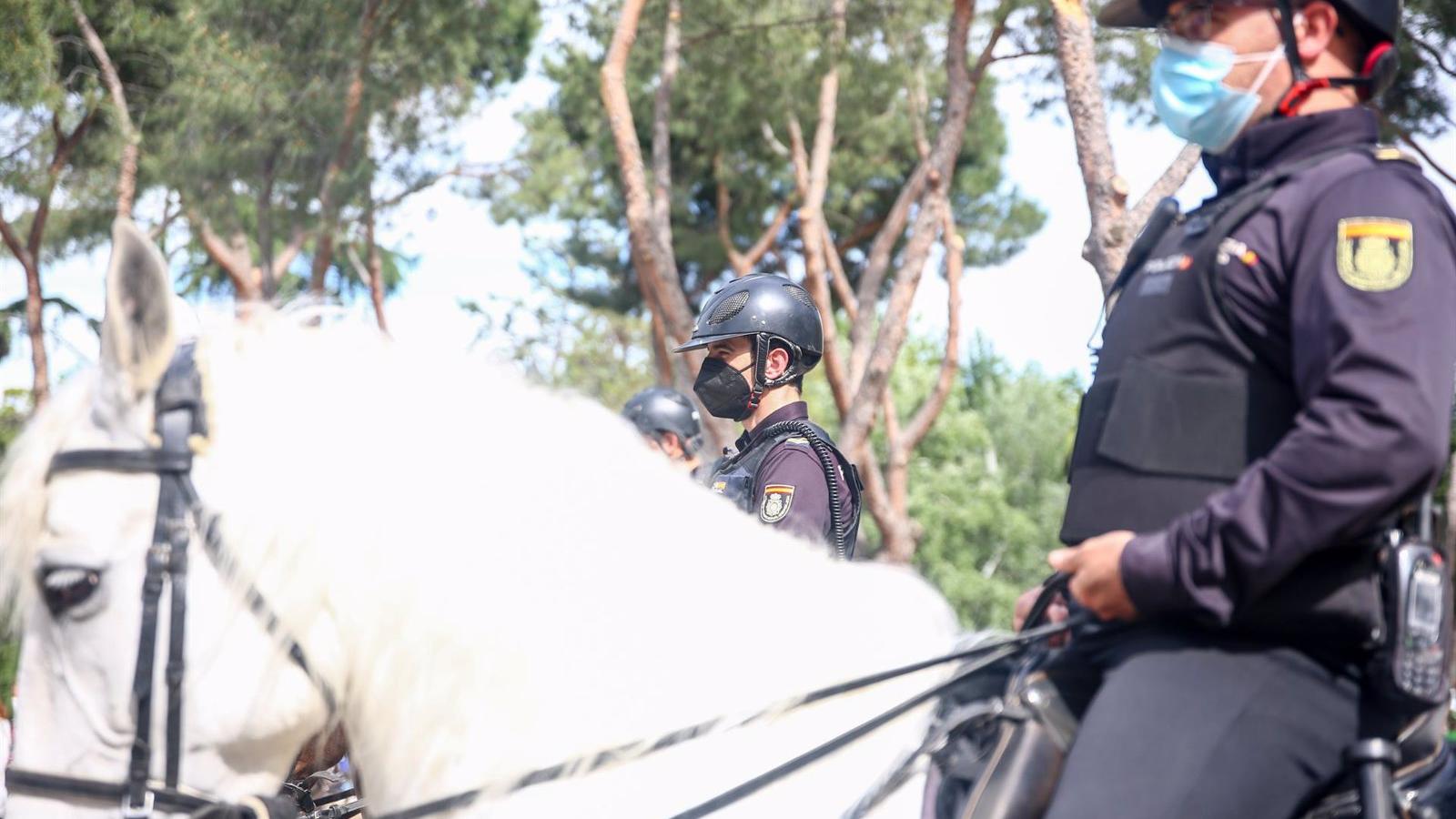 Detenido un hombre por tirar a un agente a caballo en los accesos al festival Elrow Towm