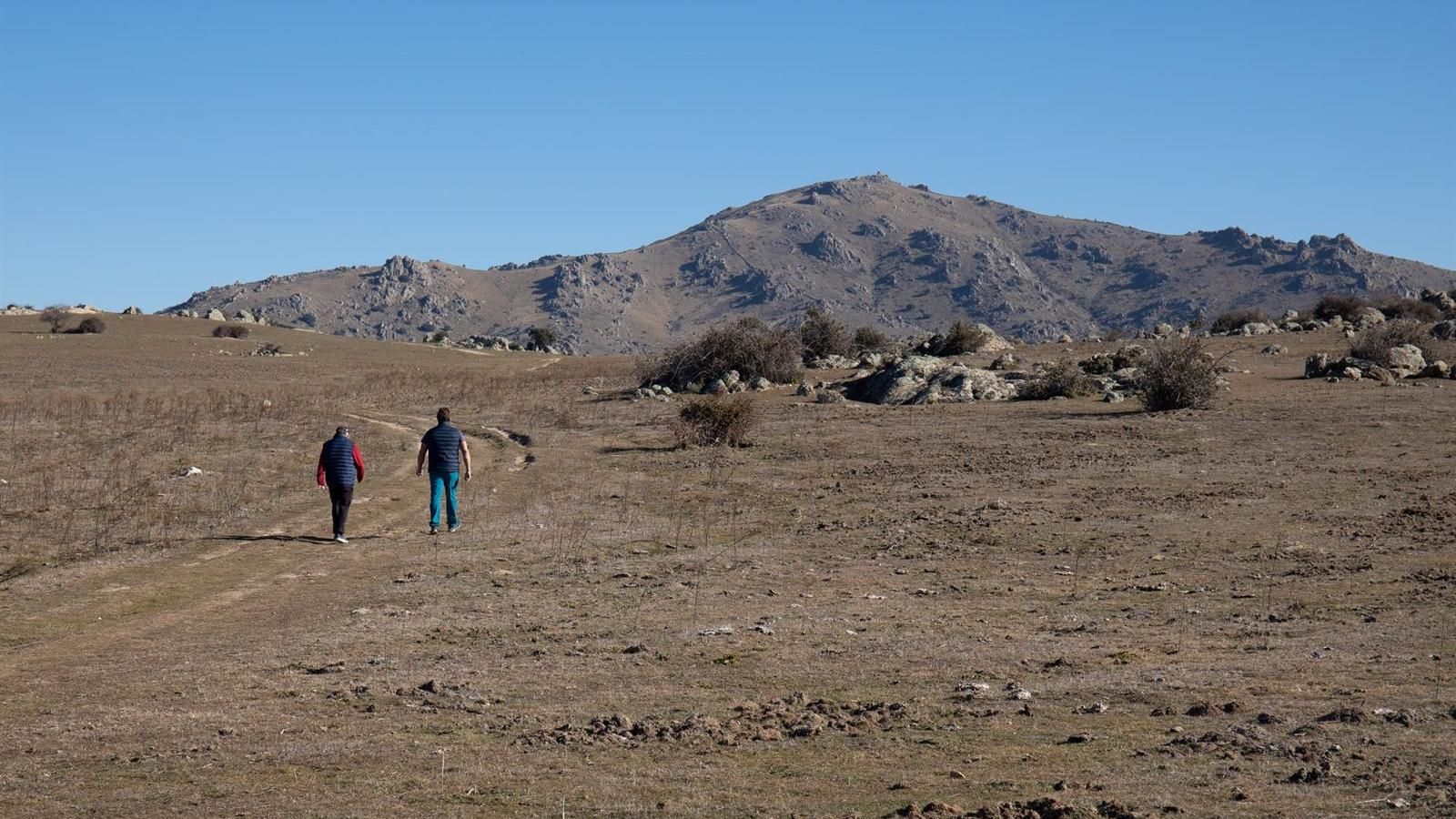 Luz verde a las ayudas de la Comunidad de Madrid para financiar películas, series y documentales