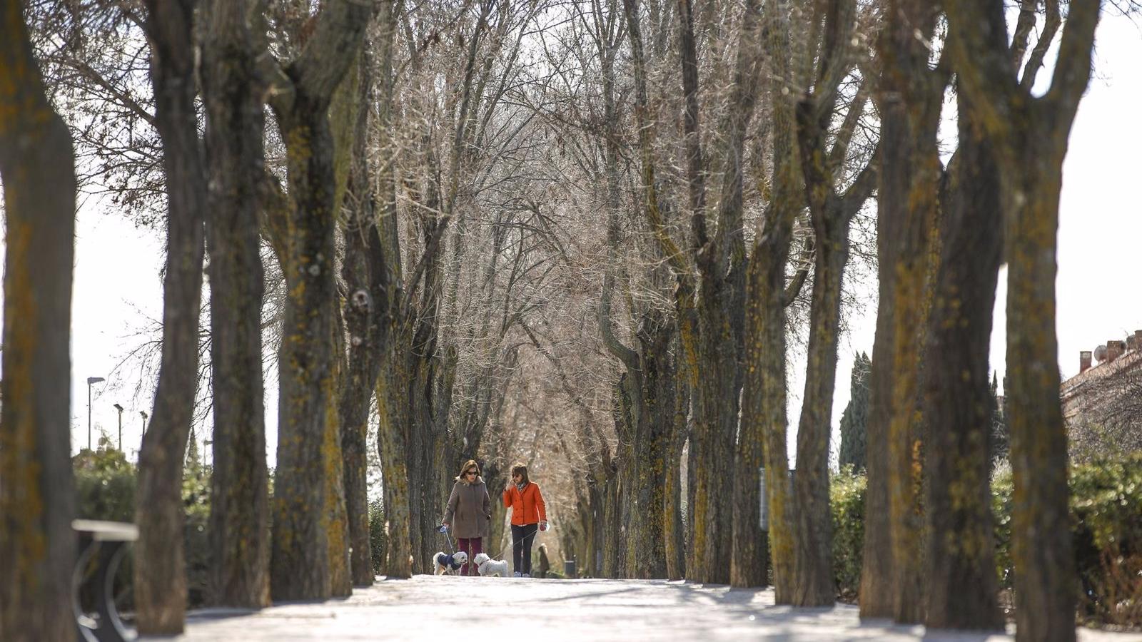 Las Rozas lanzará ayudas al alquiler de viviendas de 250 euros al mes durante un año