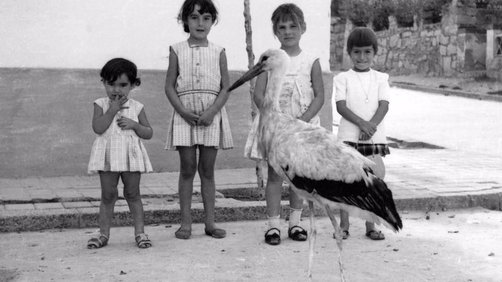 Las Rozas "fija la memoria viva" del municipio mediante el proyecto Recuerda