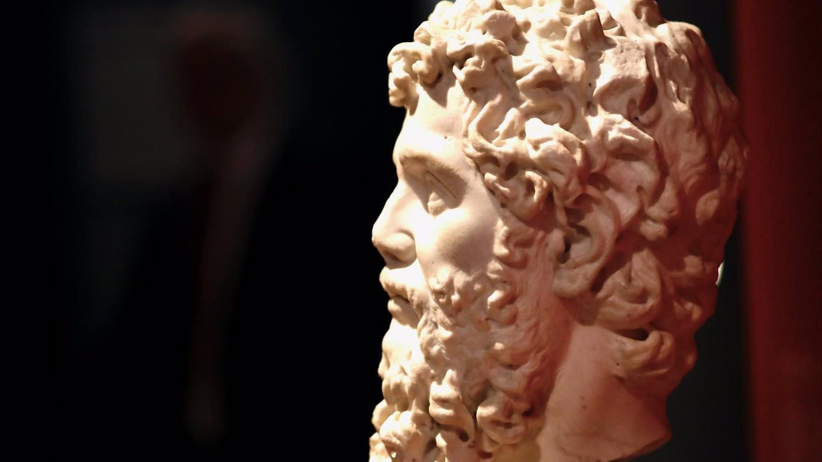 El Museo Arqueológico pasará a ser también Paleontológico coincidiendo con su 25 aniversario