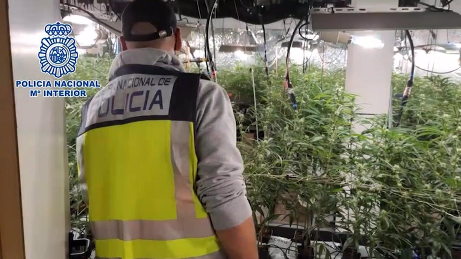  Desmantelada una granja de criptomonedas y una plantación de marihuana en dos chalés de lujo en Villalbilla