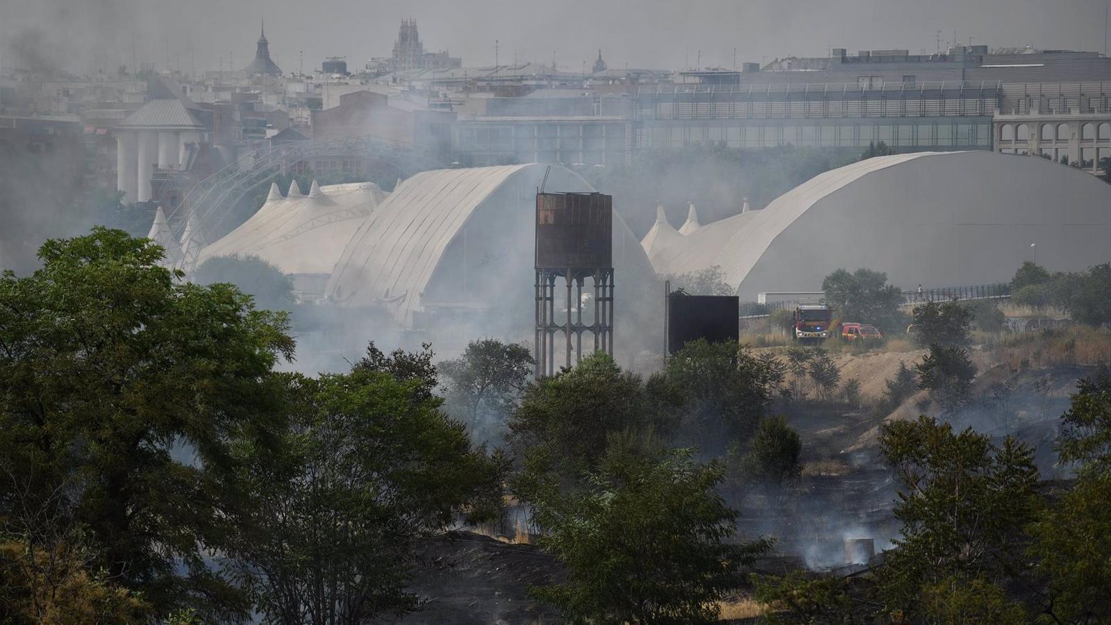 Sofocado sin heridos un incendio de pastos en Delicias