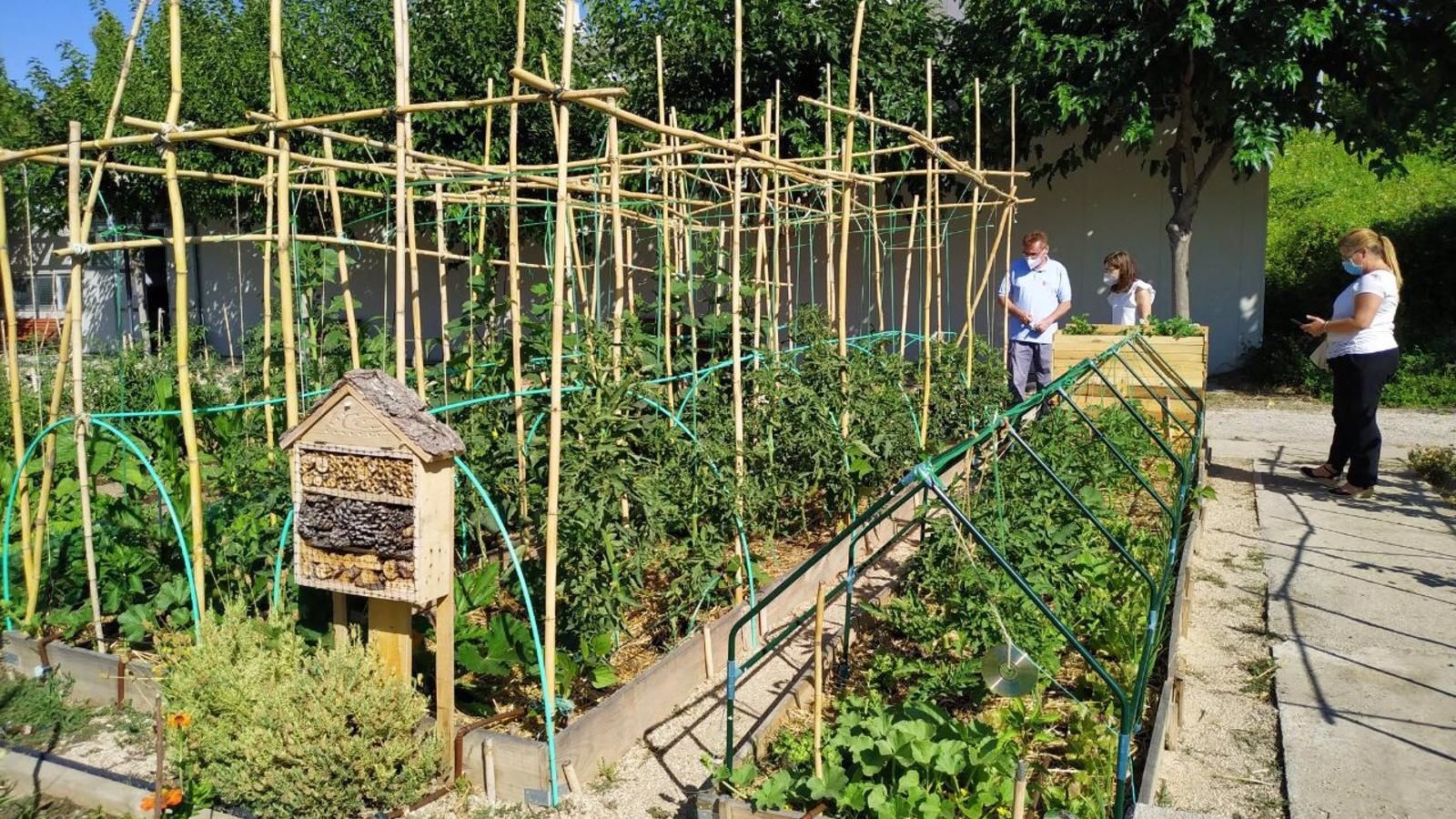 San Sebastián de los Reyes abre la convocatoria de las 47 parcelas de Tempranales destinadas a huertos urbanos