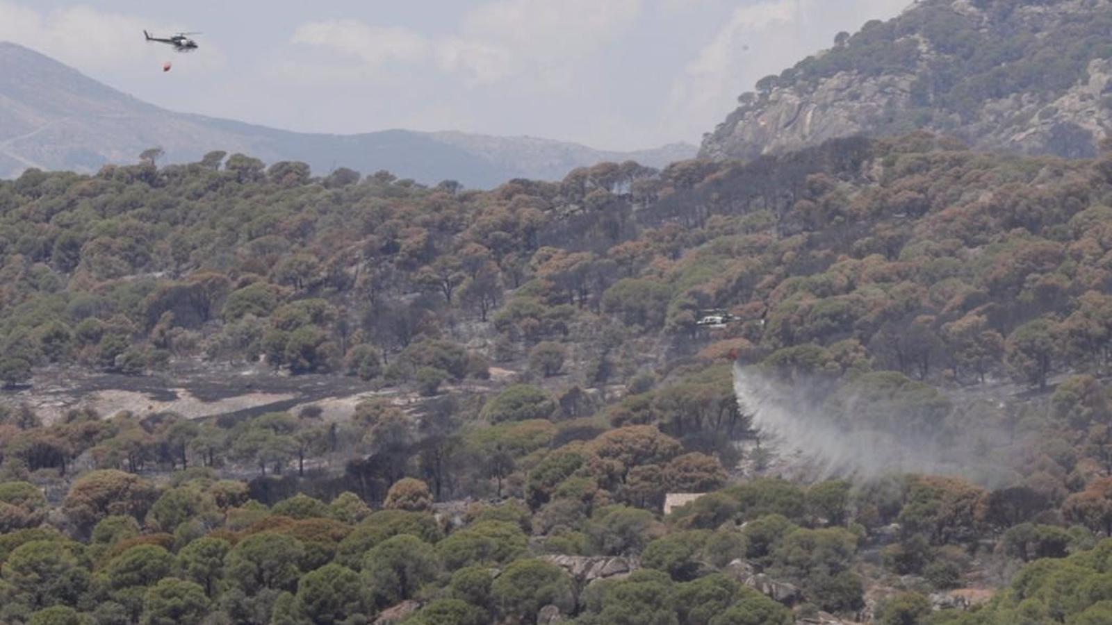 Recuperadas 700 de las 2.000 hectáreas quemadas en el incendio de Cadalso