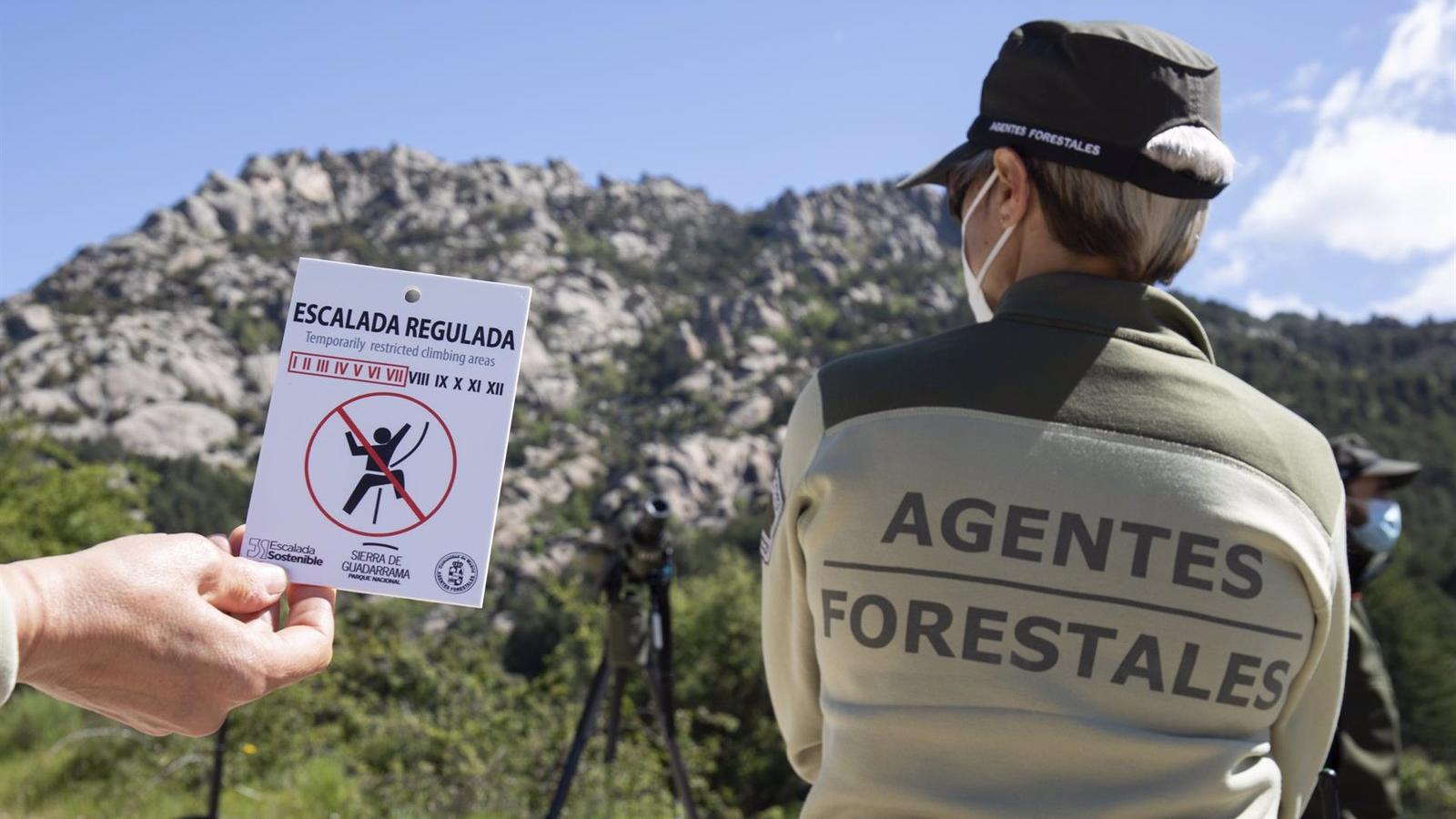Los agentes forestales de Madrid participaron en 740 intervenciones en incendios en junio