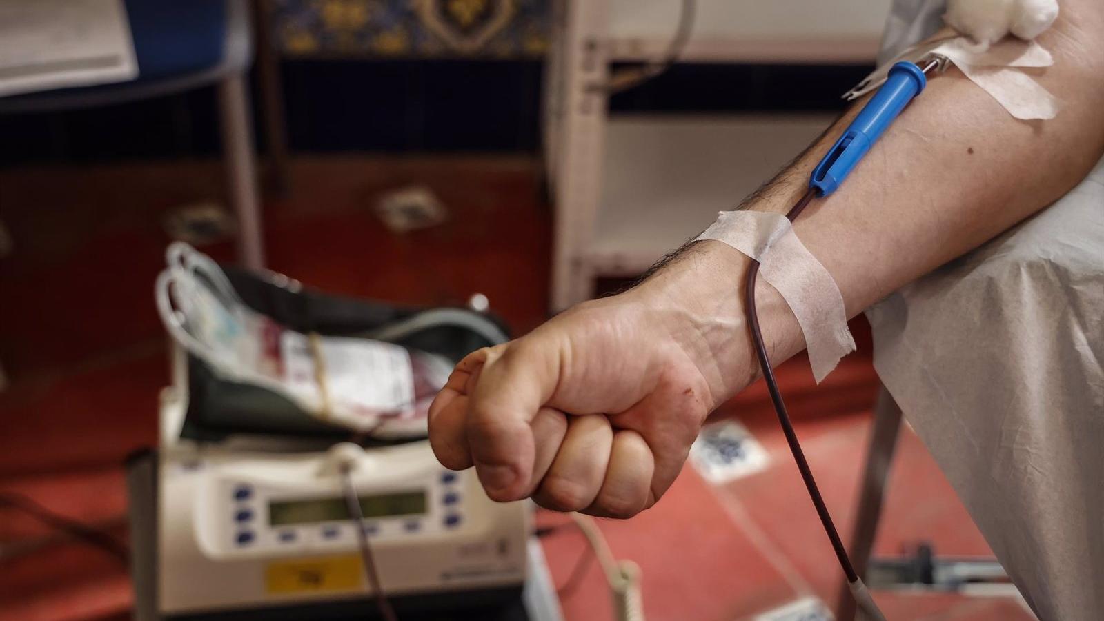 Arranca la campaña de verano de donación de sangre: se necesitan 12.000 transfusiones y urgen los grupos 0-, 0+ y A-