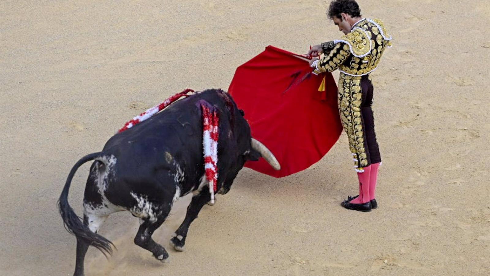 Un 54,53% de encuestados en 'Decide Galapagar' está en contra de financiación pública para festejos taurinos