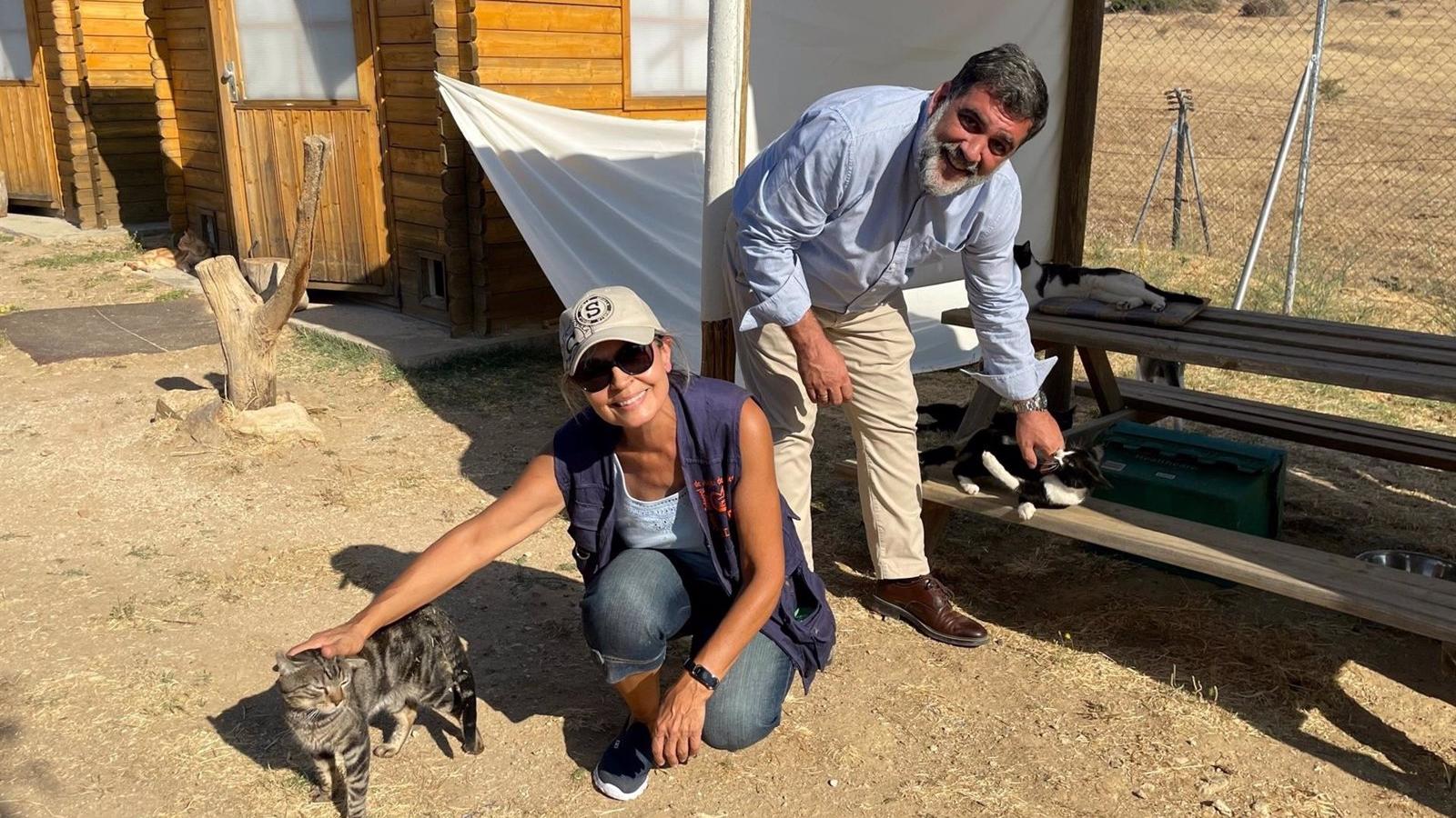 Más de 3.075 perros y gatos fueron adoptados el primer semestre en el Centro Integral de Acogida de Animales