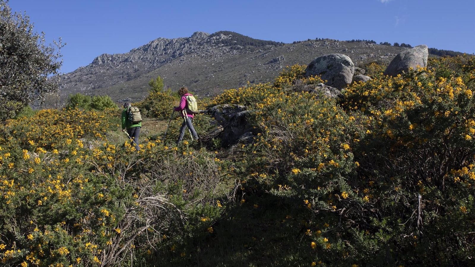Más de 100 actividades gratuitas en la región para acercar la naturaleza a los ciudadanos