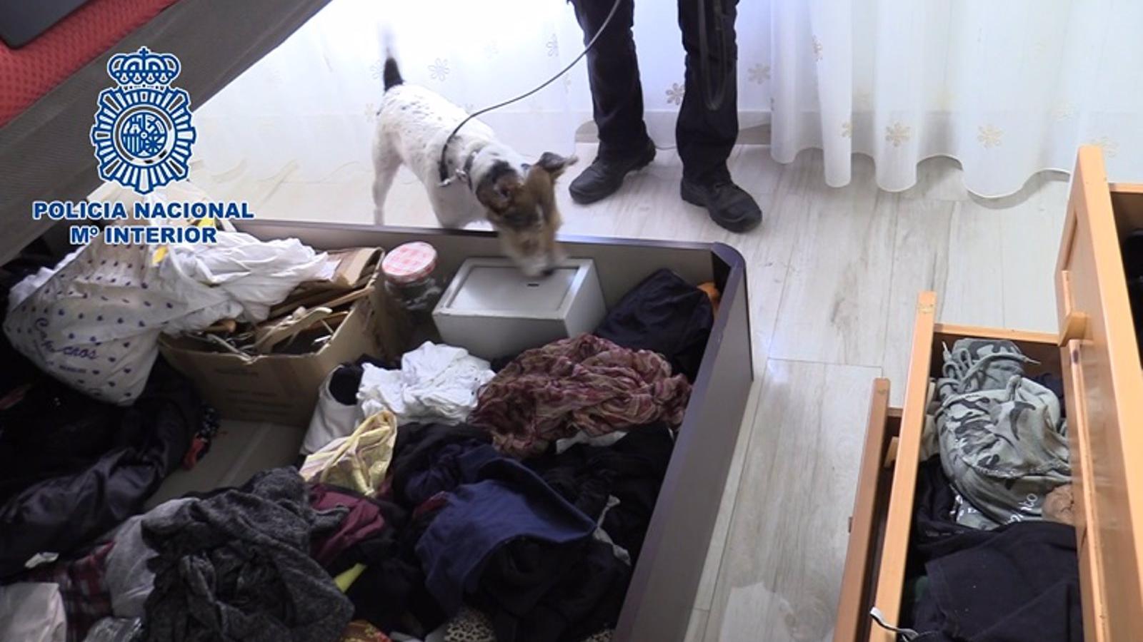  Detenida una mujer que regentaba un narcopiso en Puente de Vallecas abierto 24 horas