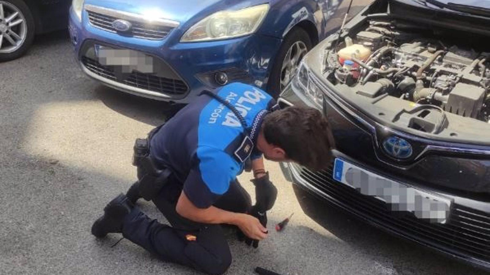 La Policía Municipal rescata a un gato atrapado dentro del motor de un vehículo en Alcorcón
