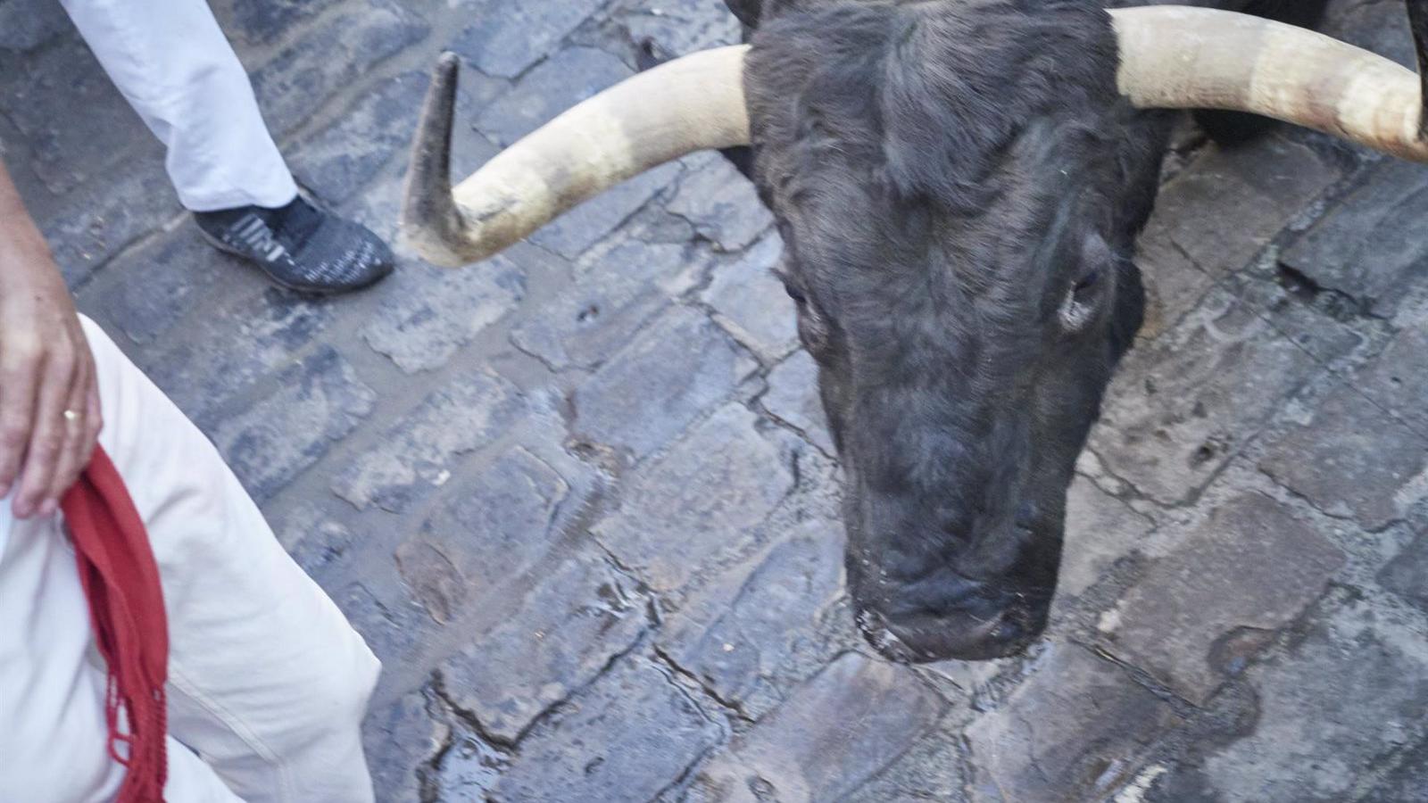 Herido grave un joven de 21 años en el encierro nocturno de El Álamo