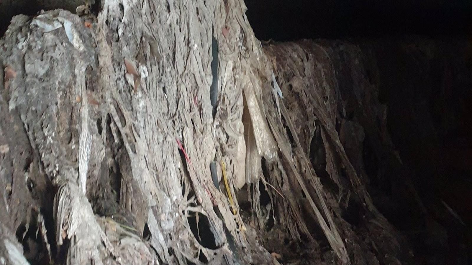 Voluntarios han retirado 3,5 toneladas de residuos higiénicos, casi todo toallitas, de la ribera del río Jarama