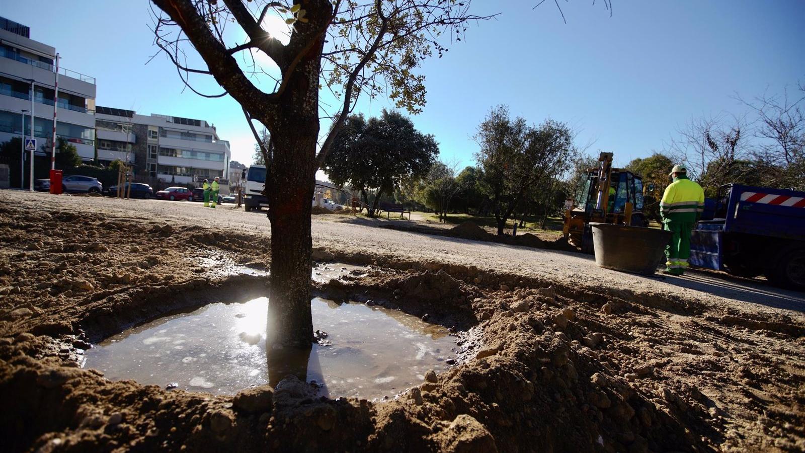 El operativo estival de riegos de arbolado y plantaciones de Las Rozas realiza un total de 588 intervenciones