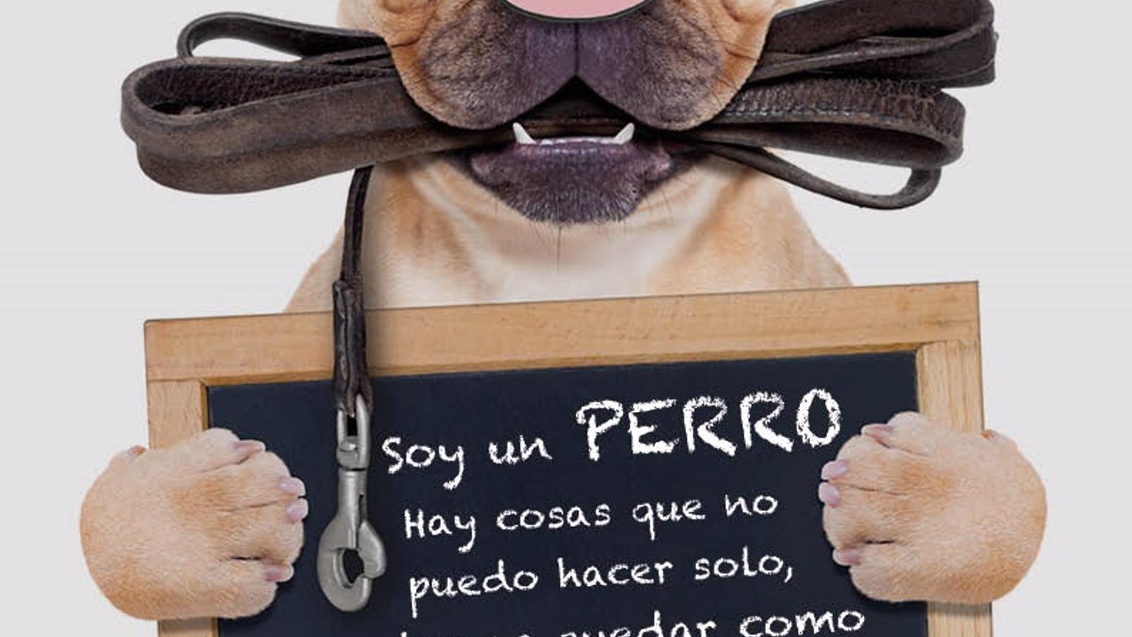 Arganda lanza campaña para la recogida de deposiciones de mascotas en la calle