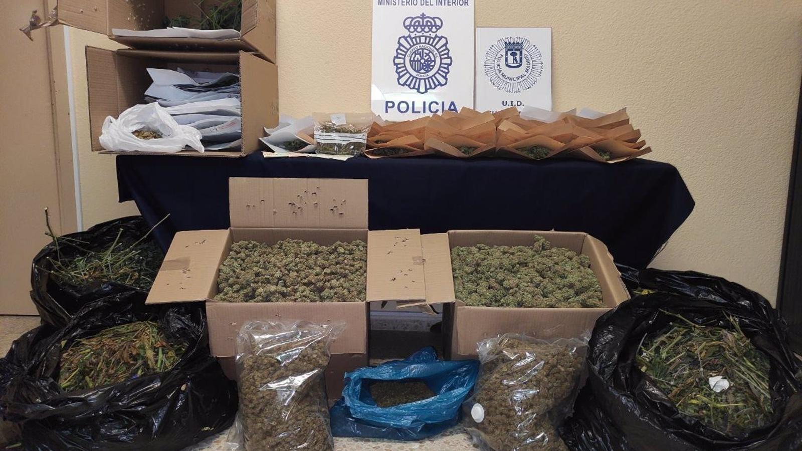  Cuatro detenidos y desmantelada una plantación indoor de marihuana en el distrito de Fuencarral
