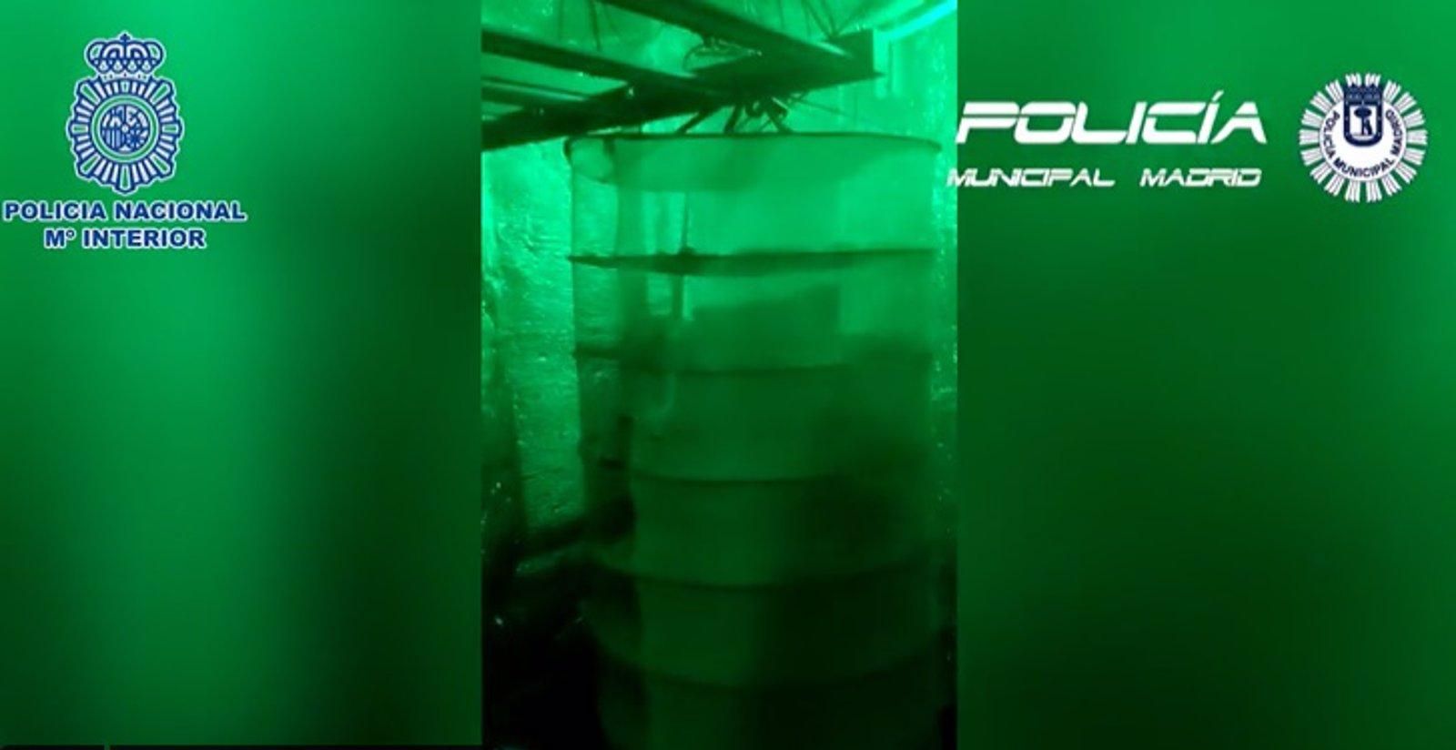 Hallan en una vivienda de Madrid más de 15 kilos de marihuana en cogollos preparados para su venta