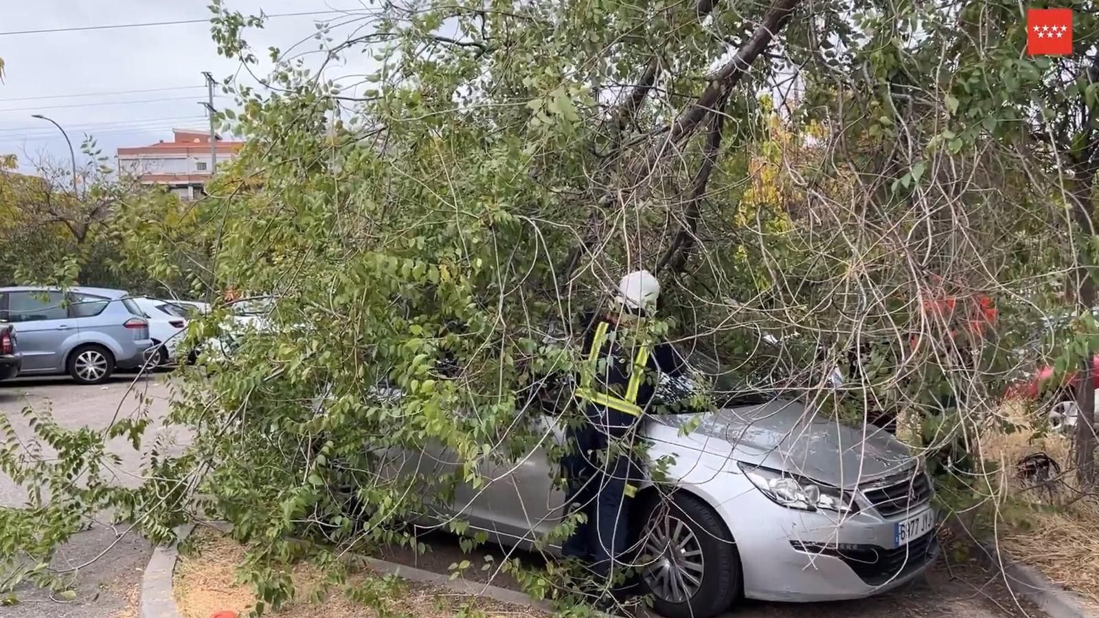 Los Bomberos de la Comunidad gestionan 180 expedientes por el viento en la región y realizan más de 50 salidas