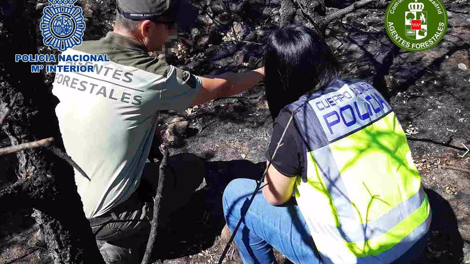  Detenido un hombre por provocar seis incendios cerca de Pinilla del Valle en los últimos ocho años
