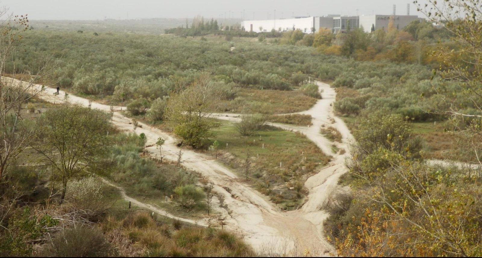La Comunidad recuperará otras 136 parcelas del sector VI de la Cañada Real con 80.000 metros cuadrados para espacios verdes