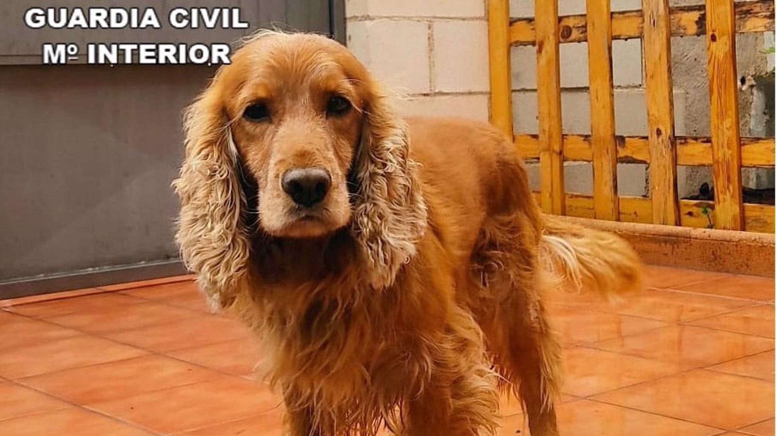 Detenida una octogenaria que ocultaba droga en sus partes íntimas durante una visita a su hijo en la cárcel de Soto del Real