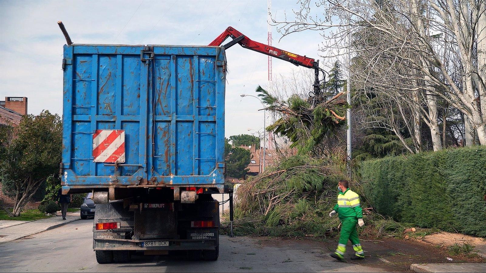 Los vecinos de Las Rozas podrán solicitar desde este martes el servicio gratuito de recogida de grandes podas