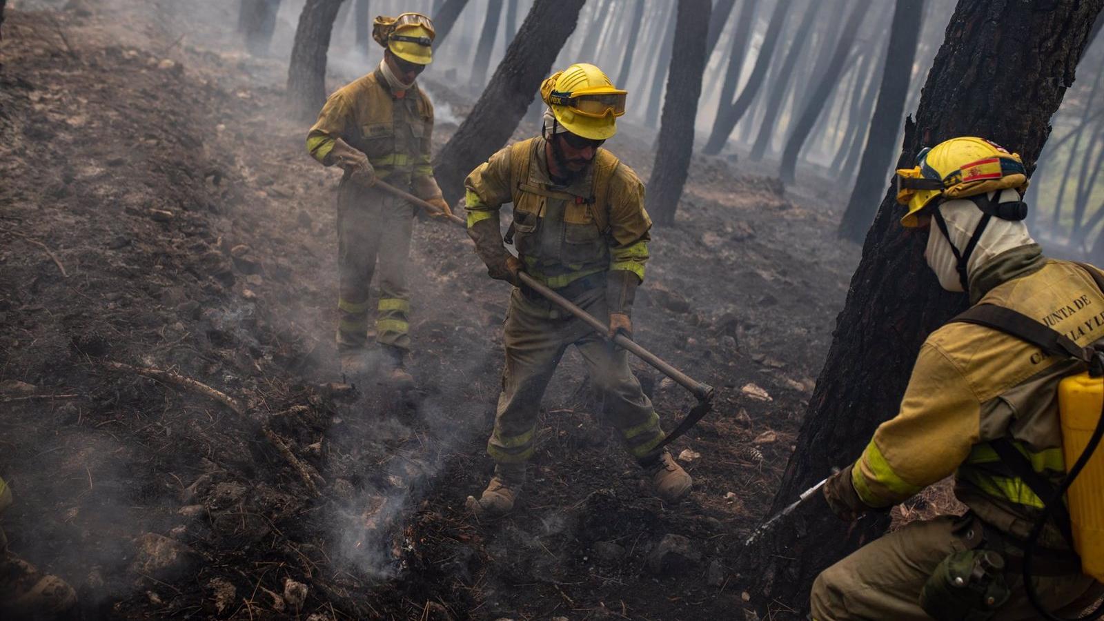 Aprobados dos anteproyectos para homogeneizar a agentes y bomberos forestales en toda España y todo el año
