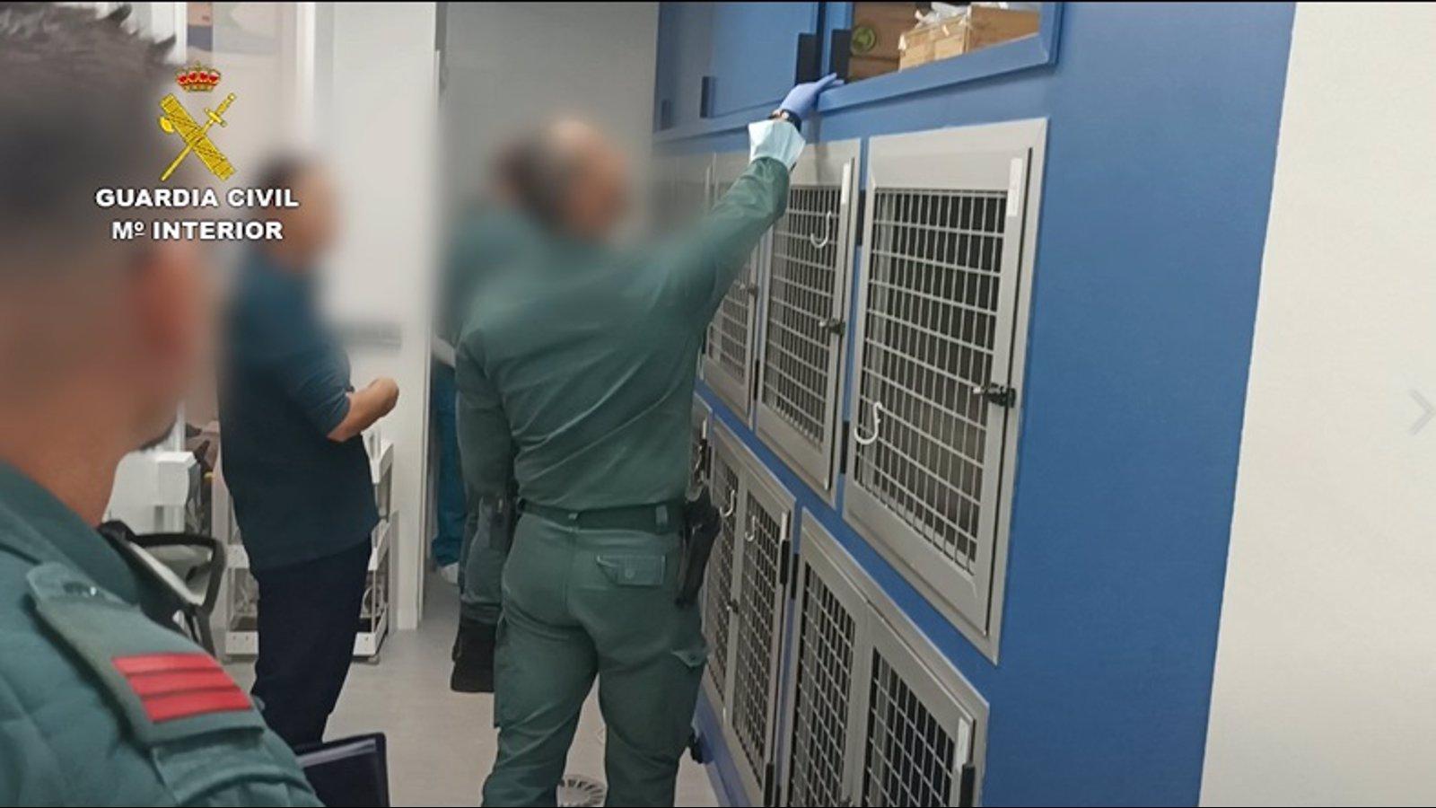  Detenida una falsa veterinaria que ejercía sin titulación y utilizando números de otros colegiados