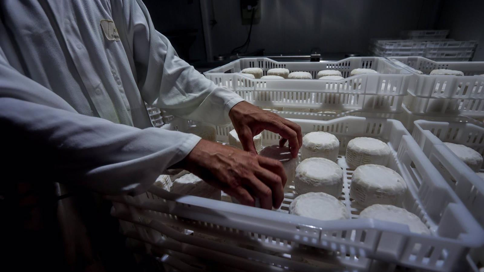 Dos nuevos sellos distinguirán la calidad de los alimentos artesanos y de montaña de la región