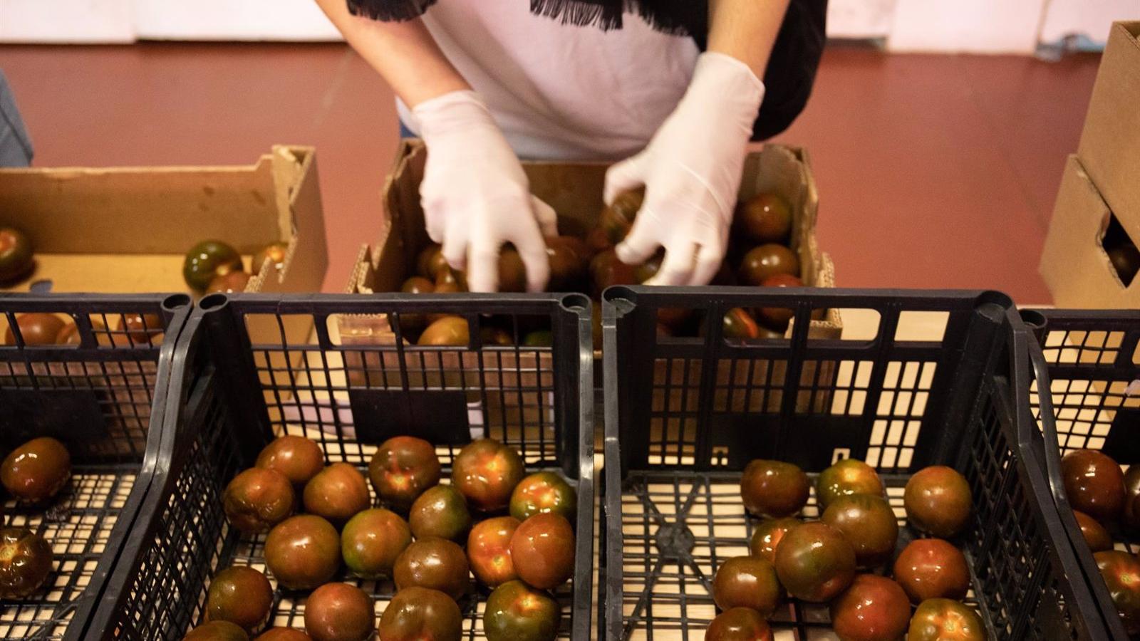 Los empleados de Roche Farma España donan más de seis toneladas de alimentos al Banco de Alimentos de Madrid