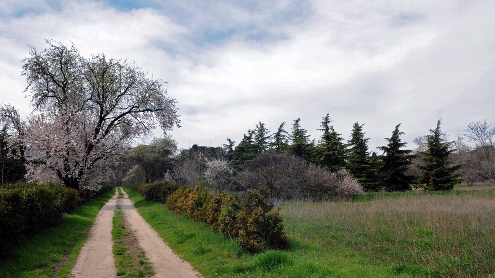 Reclaman que las labores de conservación de los jardines históricos de la Quinta de Torre Arias sigan siendo públicas