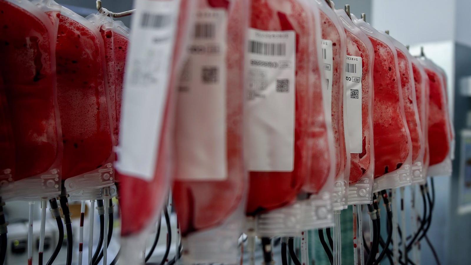 La Real Casa de Correos acoge una sala de donación de sangre con catorce camillas