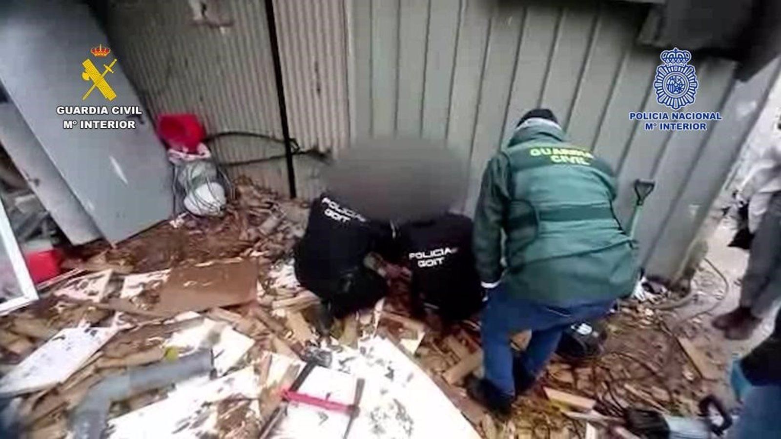  31 detenidos y requisadas más de mil plantas de marihuana de un cultivo hipropónico de marihuana en Cañada Real