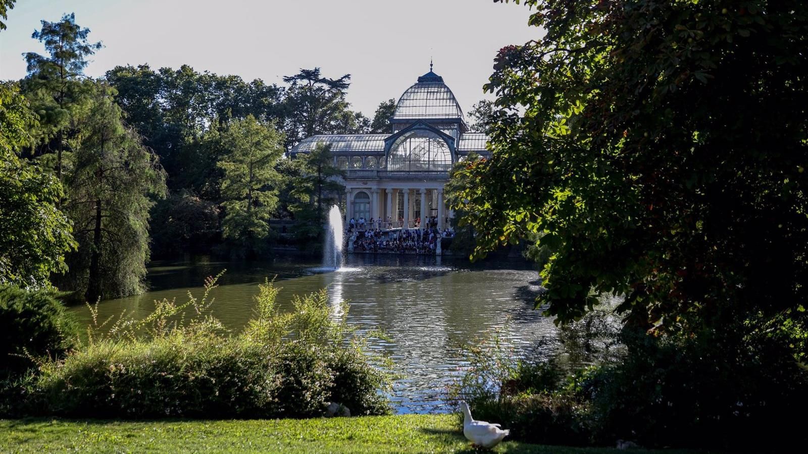 Dos grandes árboles y hasta 40 ramas cayeron en El Retiro mientras permaneció cerrado por los fuertes vientos