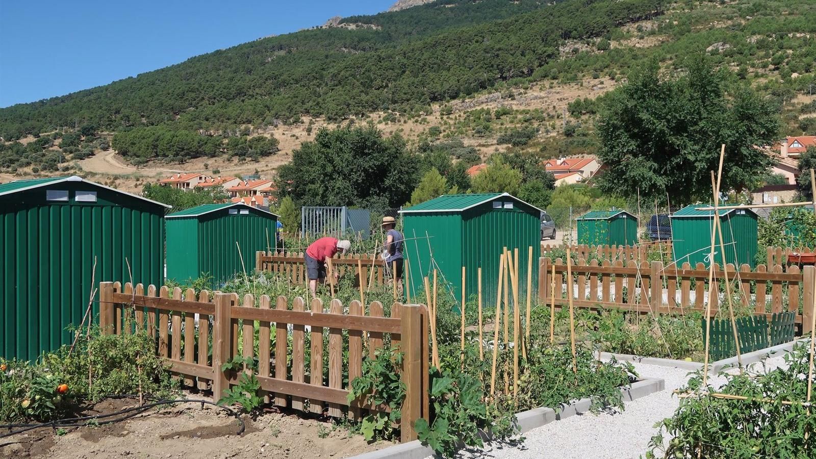 San Lorenzo de El Escorial sortea 38 huertos sociales en las parcelas de La Olmeda y Talabares para uso de los vecinos