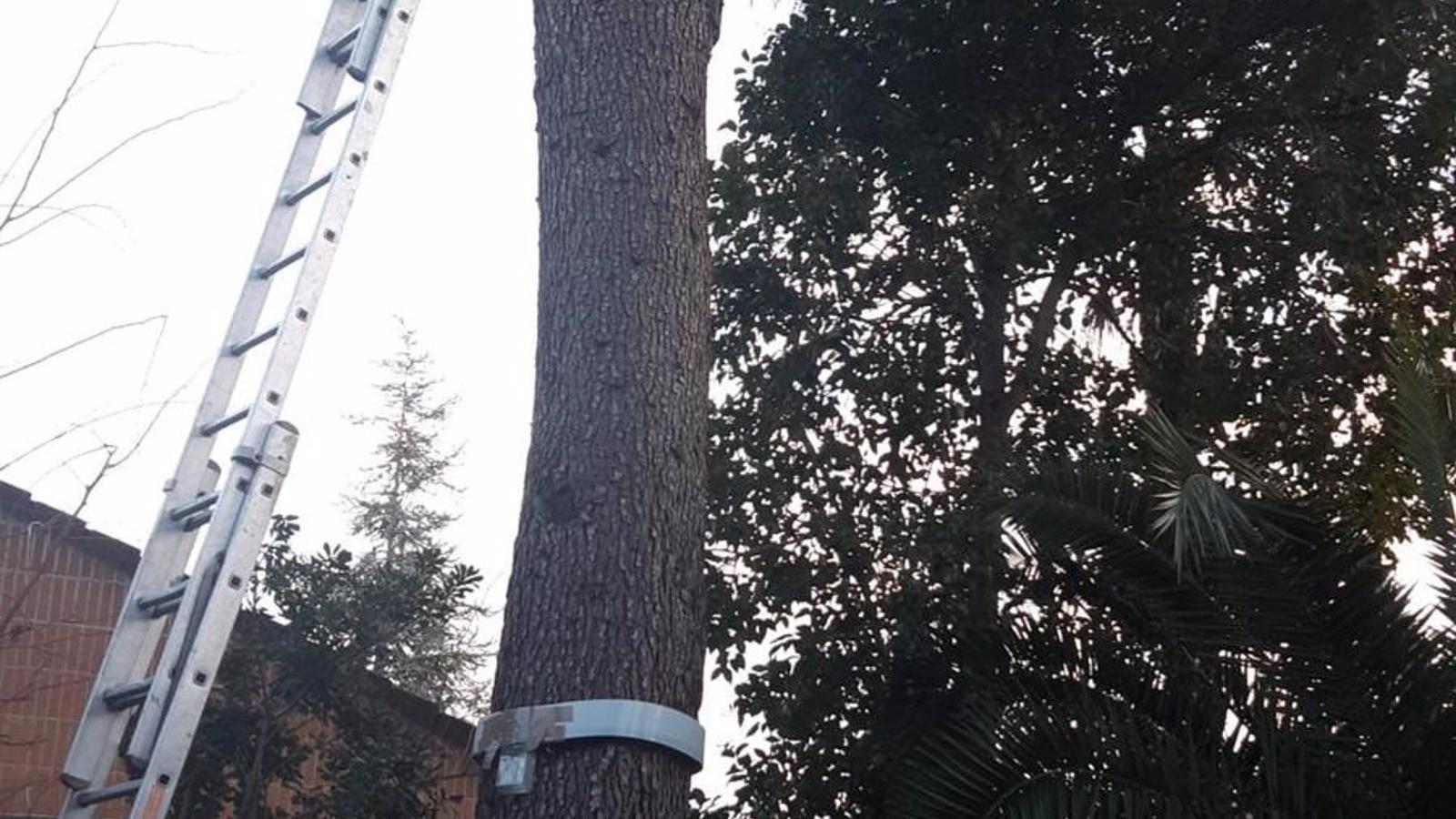 Fallece un hombre en accidente laboral tras caer desde diez metros cuando se encontraba en un árbol en Hortaleza