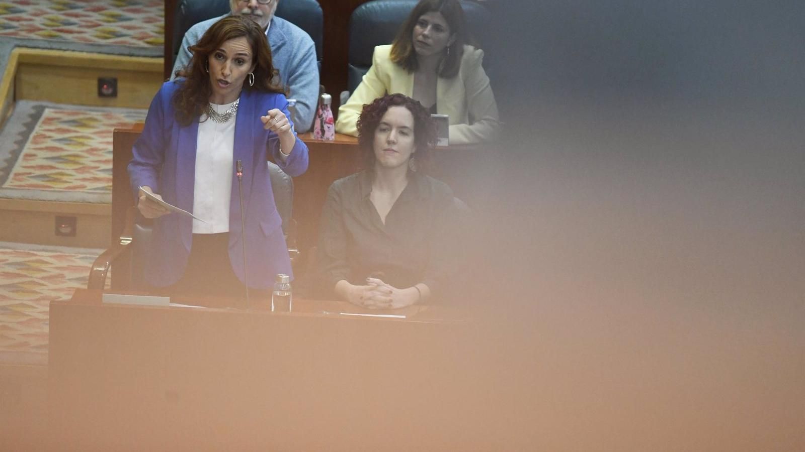 Díaz-Pache pronostica el regreso de Mónica García a Madrid tras su “fracaso” en el Ministerio de Sanidad