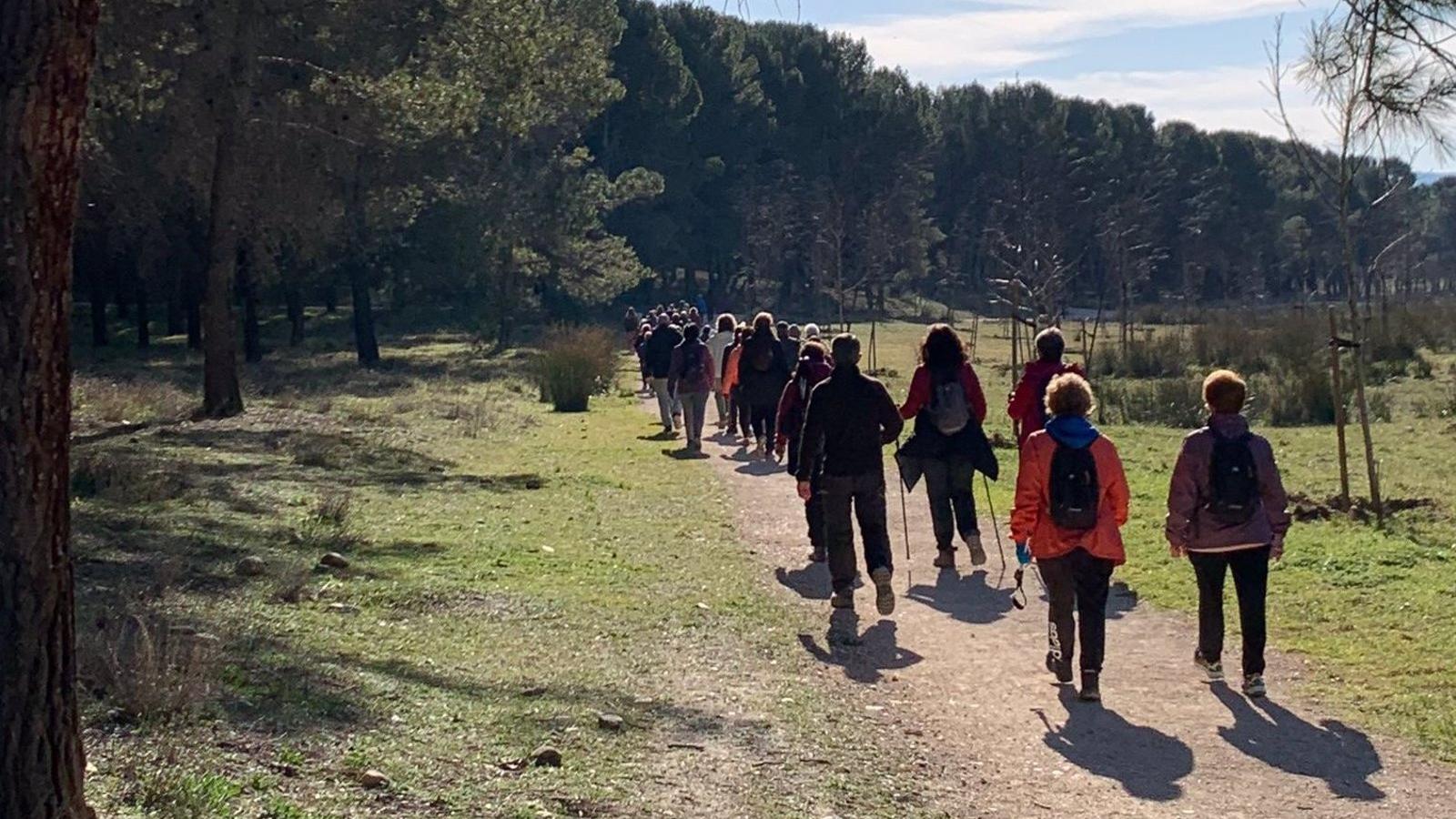 Las rutas de senderismo más espectaculares de la región de Madrid
