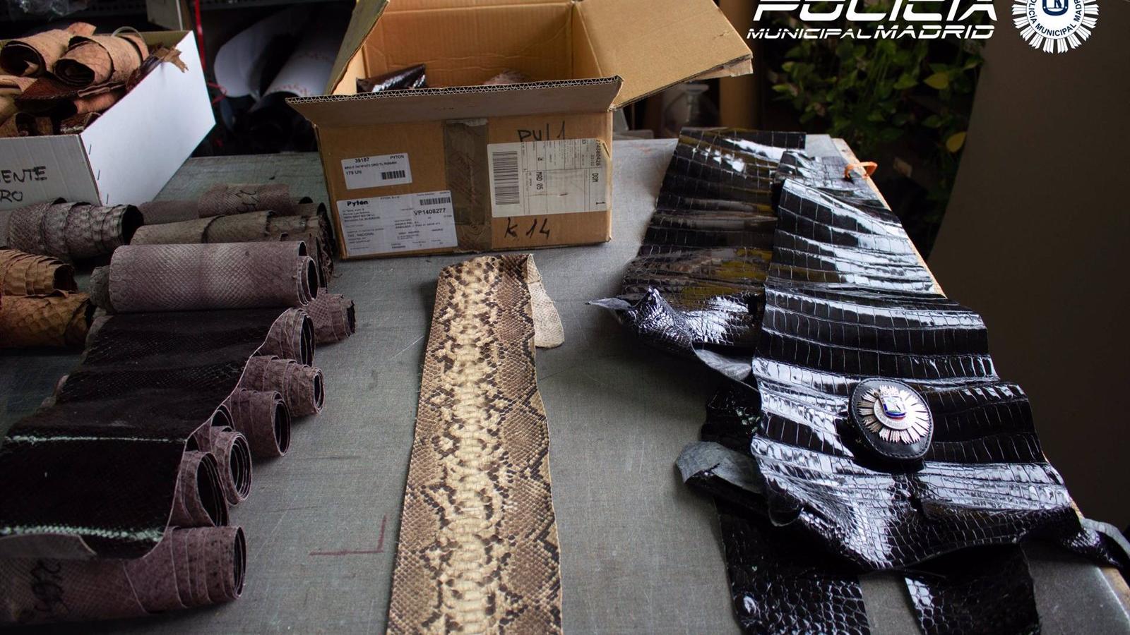 Detenidos los responsables de un taller que fabricaba artículos con pieles de serpiente y cocodrilo en Madrid