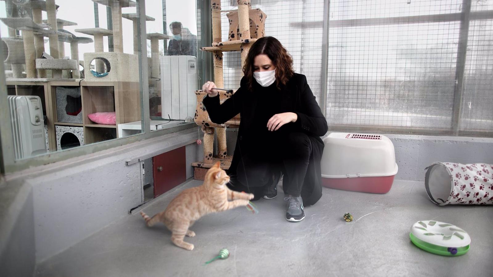 La Comunidad invierte más de 700.000 euros en el Centro Integral de Acogida de Animales