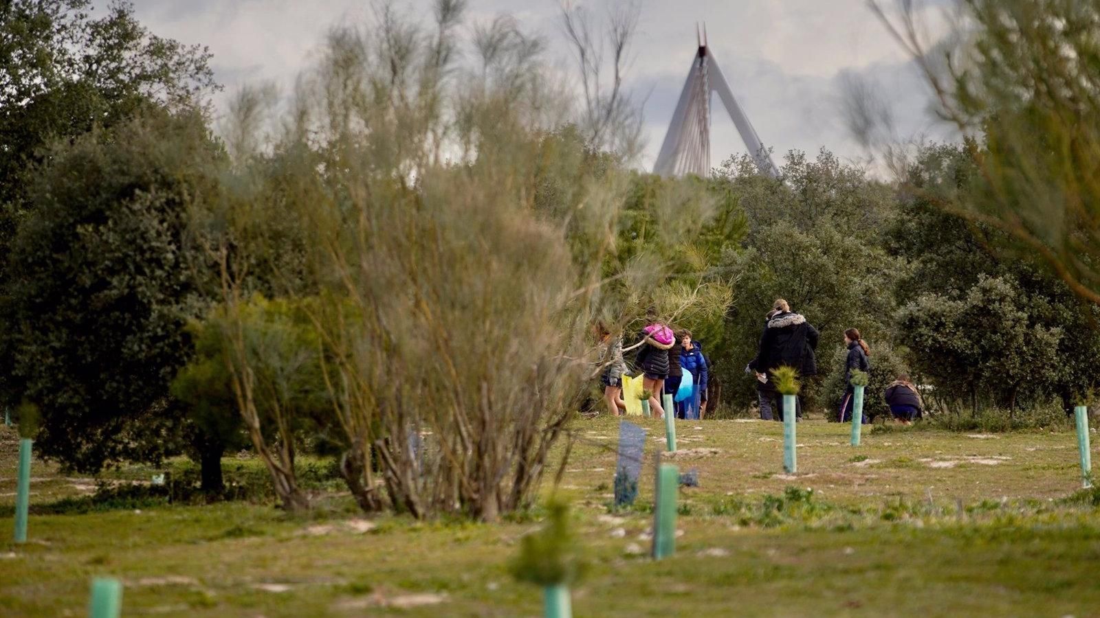 Más de 800 alumnos de Las Rozas participan en actividades de concienciación y limpieza de zonas naturales